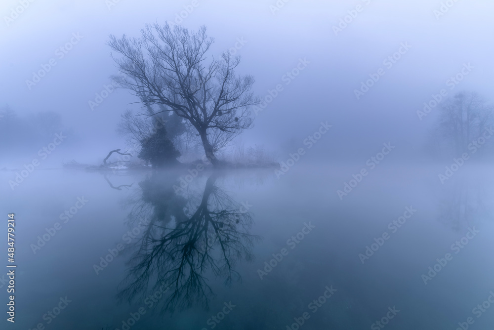 river in the fog river in the fog