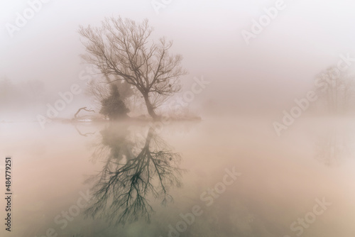 river in the fog