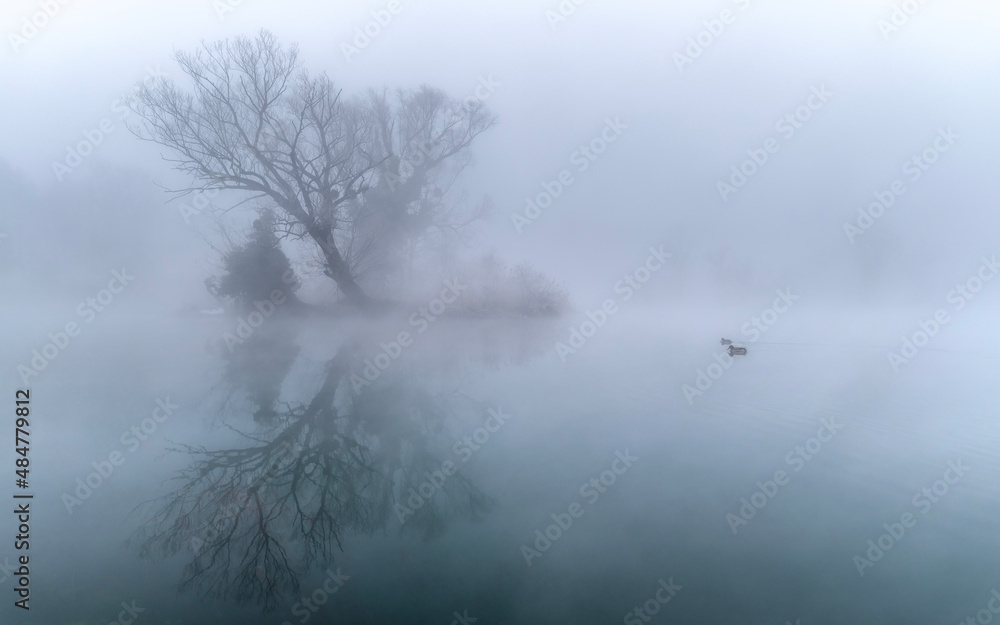 river in the fog