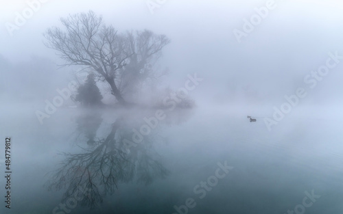 river in the fog © Ammar