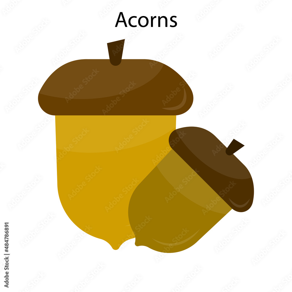 Acorns sign. Food logo. Autumn season. Oak symbol. Nature concept. Simple design. Vector illustration. Stock image. Acorns sign. Food logo. Autumn season. Oak symbol. Nature concept. Simple design. Vector illustration. Stock image.