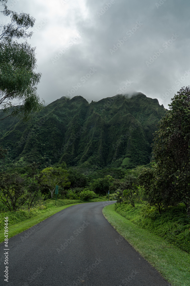 Ho’omaluhia Botanical Garden, Koolau Range, Oahu Hawaii