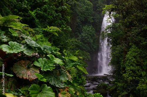 La Paz Waterfall Gardens, Costa Rica photo