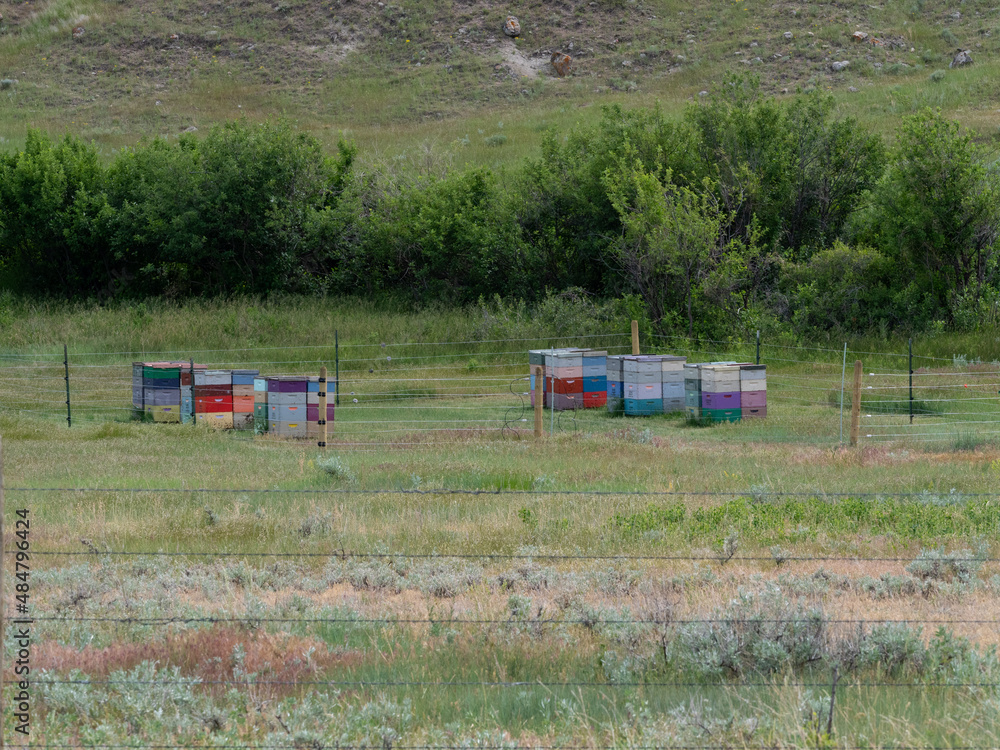 Fototapeta premium Colorful Bee Boxes in Rural Montana