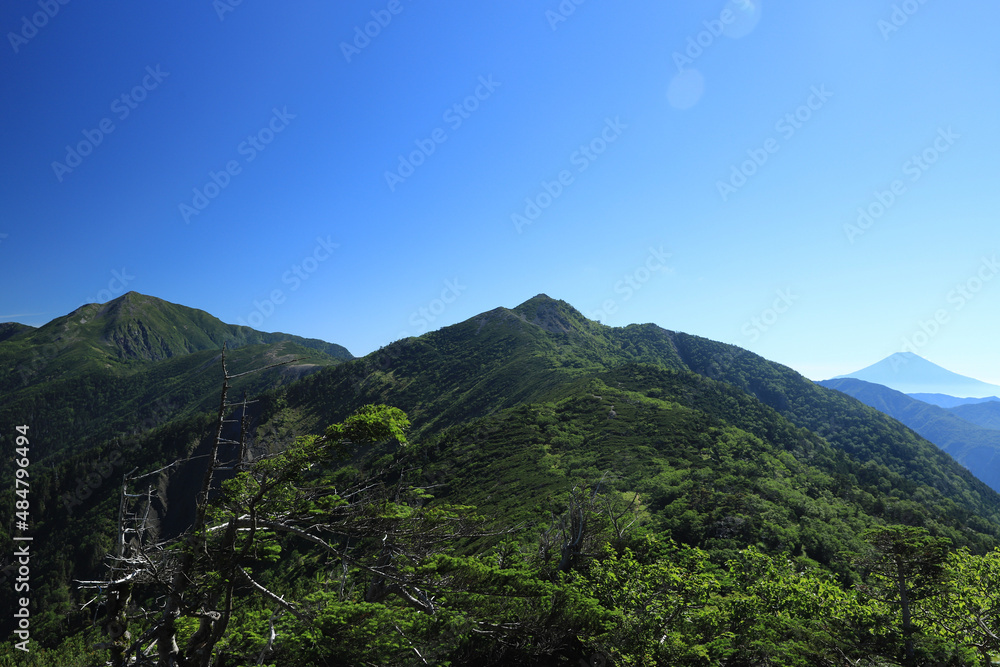 Fototapeta premium landscape with sky