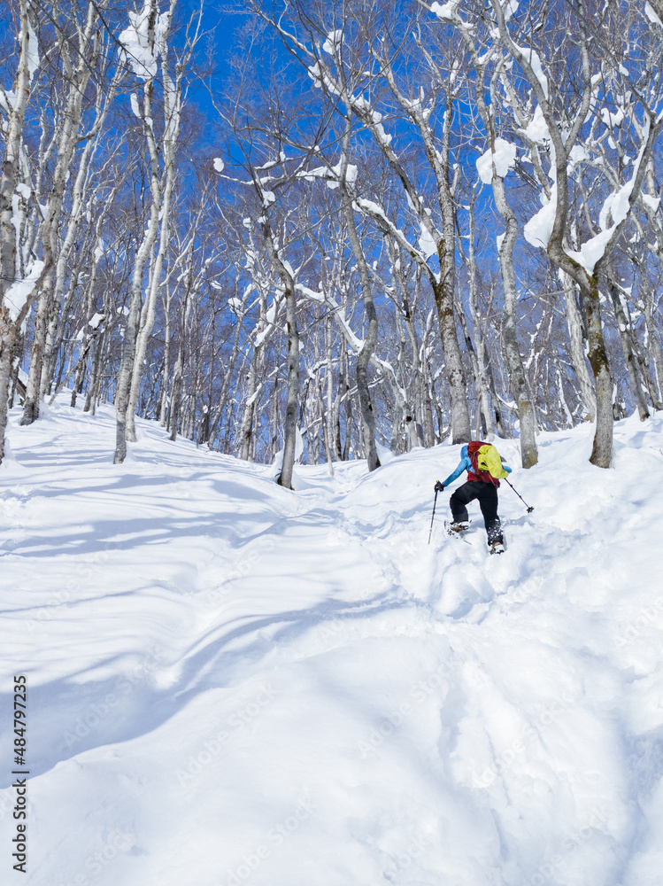 Snowshoeing in a snowy forest (Otaki, Date, Hokkaido, Japan)