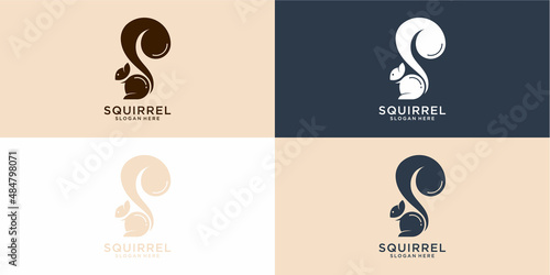 Creative squirrel animal logo design icon symbol illustration-vector