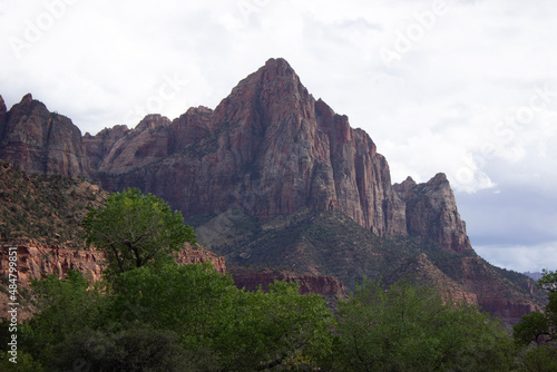 zion national park