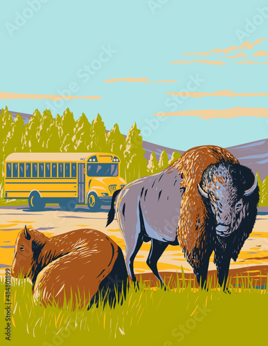 WPA poster art of a wildlife bus tour and North American bison or Plains bison in prairie of Yellowstone National Park, Wyoming, United States USA done in works project administration style.
 photo
