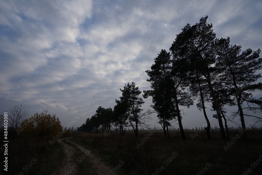 time lapse of clouds over forest time lapse of clouds over forest