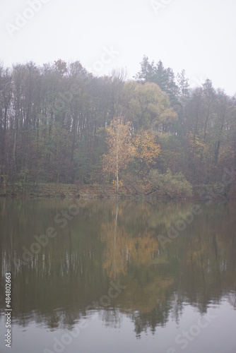 morning on the river