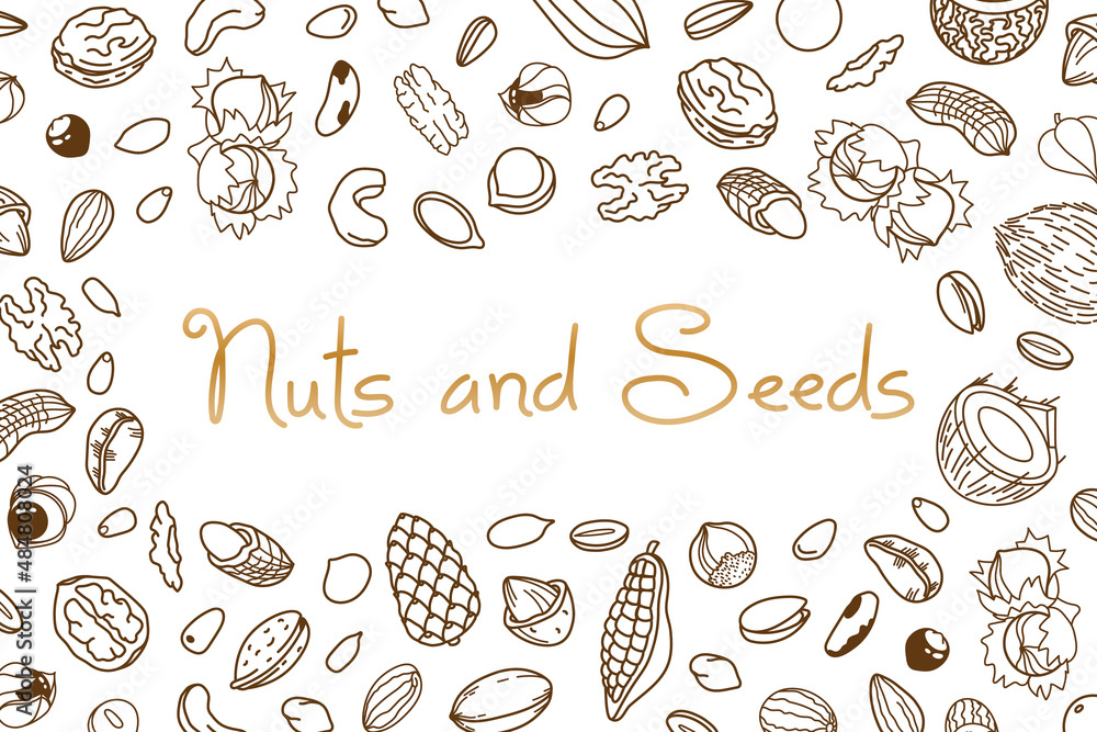 Vector frame, packaging design of nut and seed mix or snack. Walnut, peanut and sunflower seeds. Almond, pistachio, cashew, hazelnut and macadamia. Illustration in line art style Vector frame, packaging design of nut and seed mix or snack. Walnut, peanut and sunflower seeds. Almond, pistachio, cashew, hazelnut and macadamia. Illustration in line art style