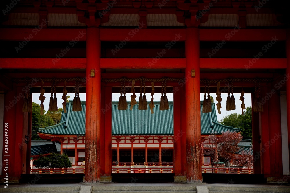Cherry blossom in full bloom against a background of HEIAN-JINGU shrine Cherry blossom in full bloom against a background of HEIAN-JINGU shrine