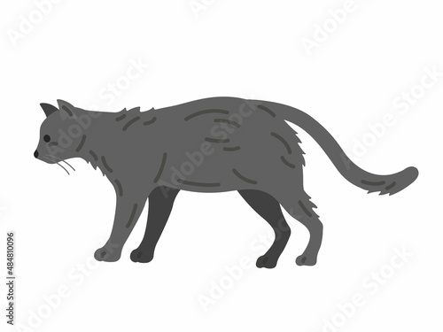 横から見た、黒猫ののイラスト © R-DESIGN