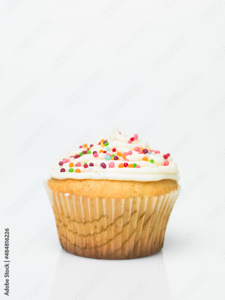 single muffin isolated single muffin isolated