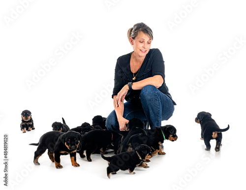 Obraz na plátne puppies rottweiler and breeder