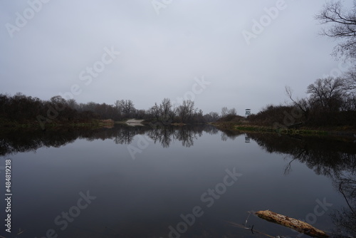 reflection of trees in the water