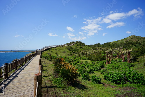 fascinating seaside view