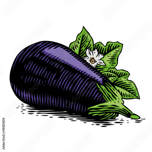 Drawing of egg-plant