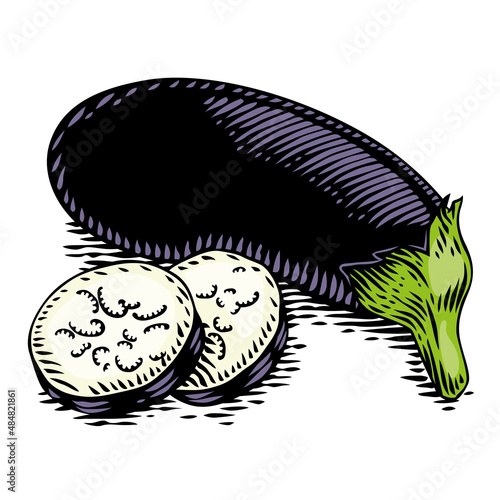 Drawing of egg-plant