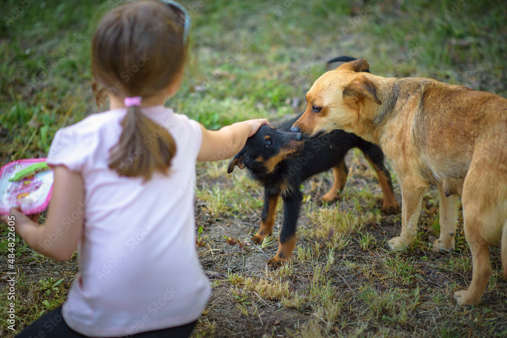Sweet little girl feeding and cuddling dogs in nature on a lovely sunny day