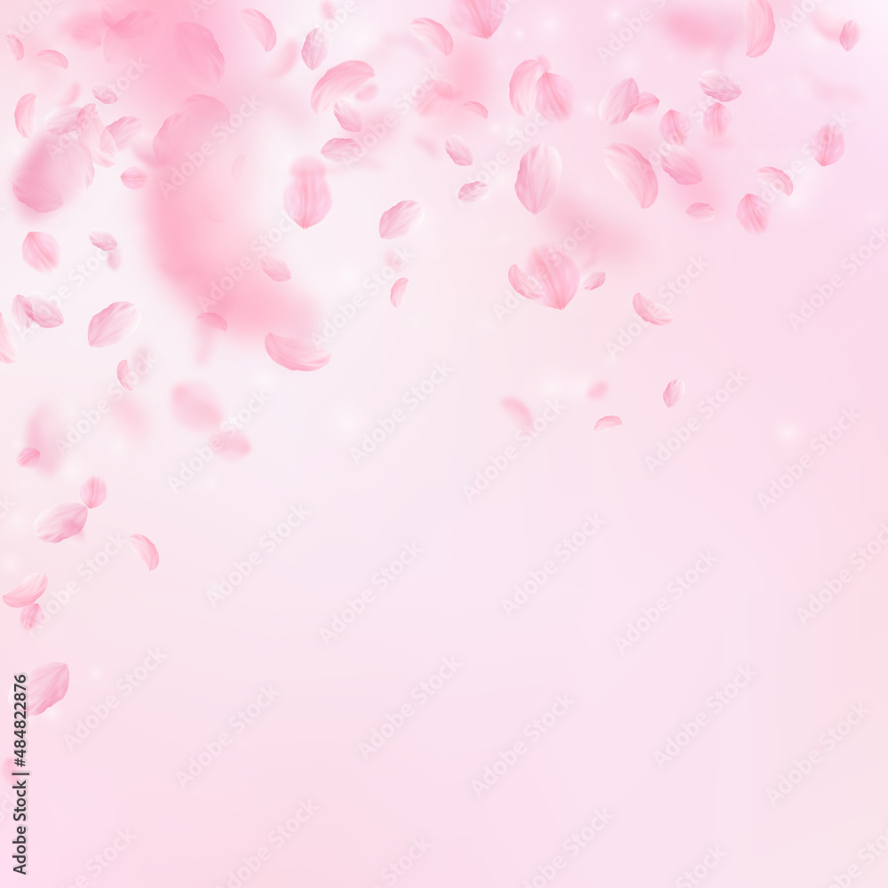 Sakura petals falling down. Romantic pink flowers falling rain. Flying petals on pink square background. Love, romance concept. Mind-blowing wedding invitation.