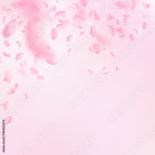 Sakura petals falling down. Romantic pink flowers falling rain. Flying petals on pink square background. Love, romance concept. Mind-blowing wedding invitation.