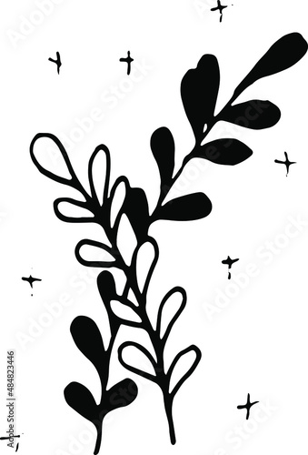 Black and white leaves. A simple doodle illustration on a white background.