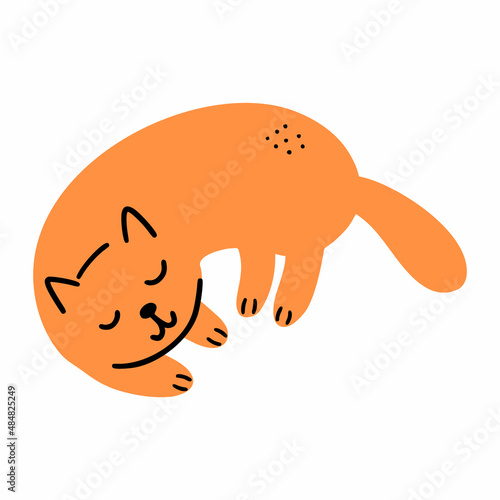 Cute orange cat sleeps with his eyes closed. Doodle illustration. Pet.
