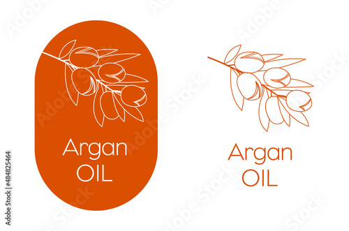 Argan oil branch line art vector illustration 