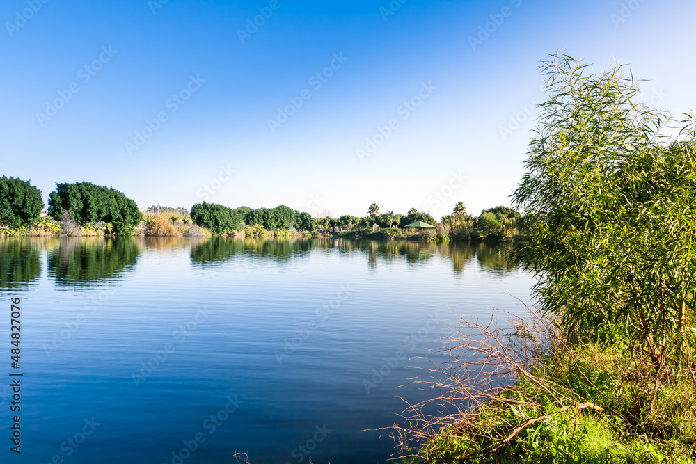 wood on a lake wood on a lake
