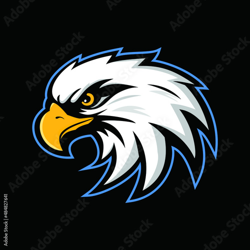 eagle head vector illustration, can be used for mascot, logo, apparel and more