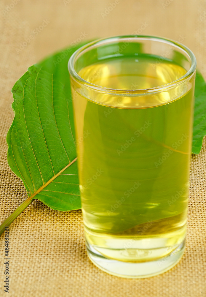 Cup of Kratom tea with fresh kratom leaf, Mitragyna speciosa (kratom