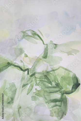Springtime effortlessness background. Organic wallpaper. ESG concept. Brush strokes surface. Plant with leaves and stems watercolor painting.