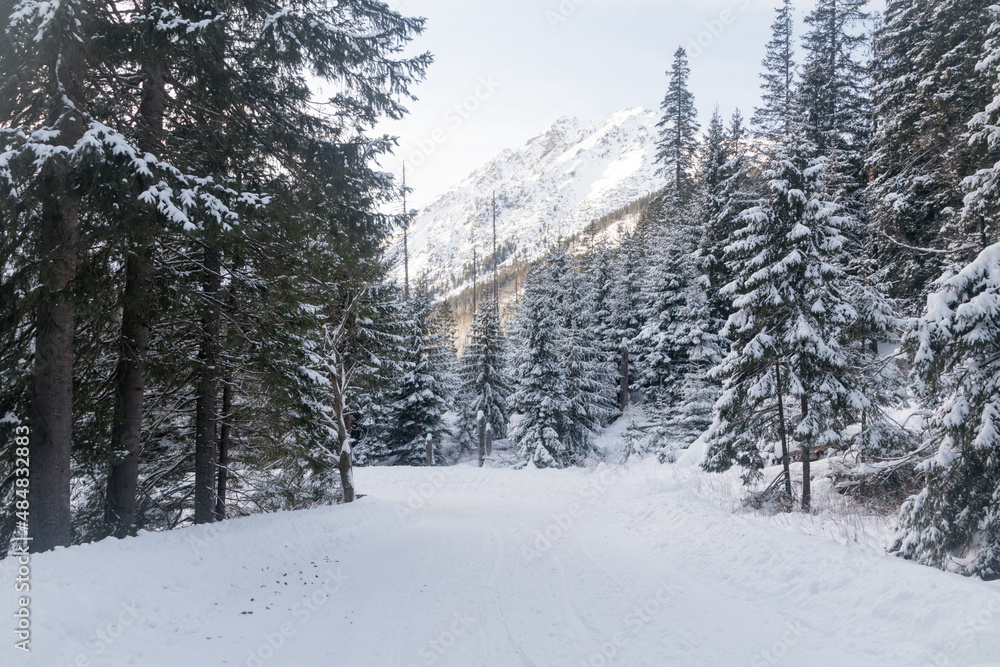 Snowed road to Morskie Oko Lake in Tatra National Park in Poland. Snowed road to Morskie Oko Lake in Tatra National Park in Poland.
