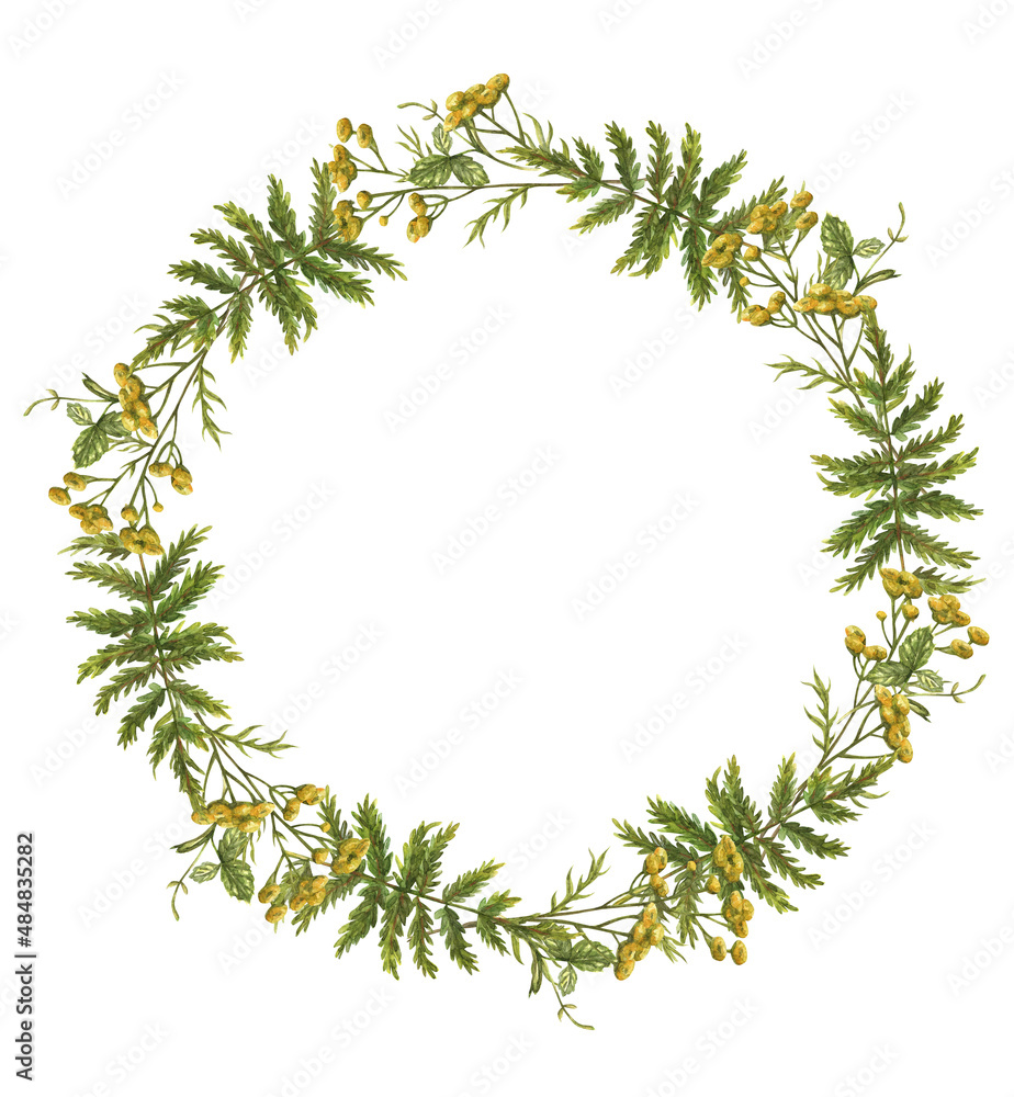 Watercolor floral wreath of wild yellow flowers and green herbs and leaves.