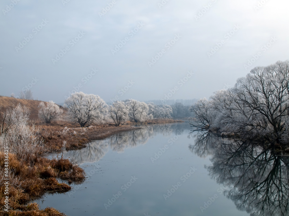 trees covered with frost on the river bank
