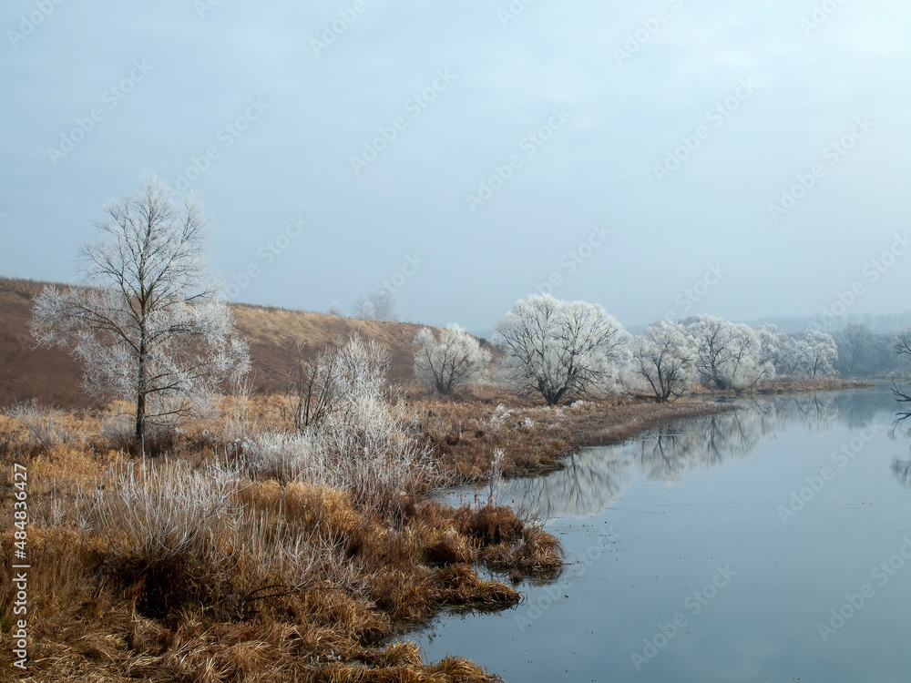 trees covered with frost on the river bank trees covered with frost on the river bank