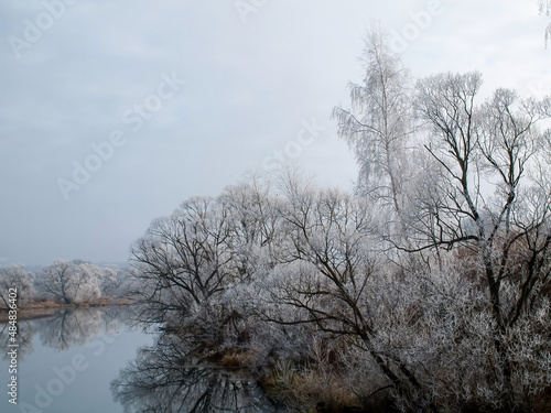 trees covered with frost on the river bank