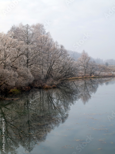 trees covered with frost on the river bank