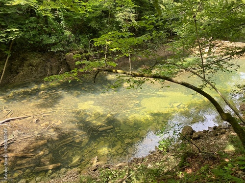 Protected landscape of the small river Kamacnik in Gorski kotar - Vrbovsko, Croatia (Zaštićeni krajolik rječice Kamačnik u Gorskom kotaru - Vrbovsko, Hrvatska) photo