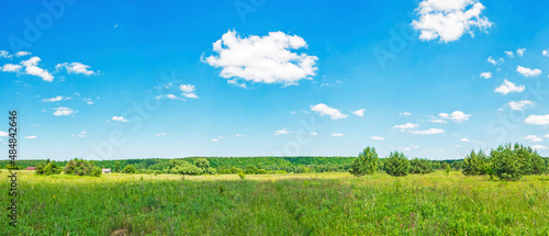 A wide panorama of the natural landscape on a clear summer day. Meadow with grasses, forest, sky with clouds © Denis Gavrilov Photo