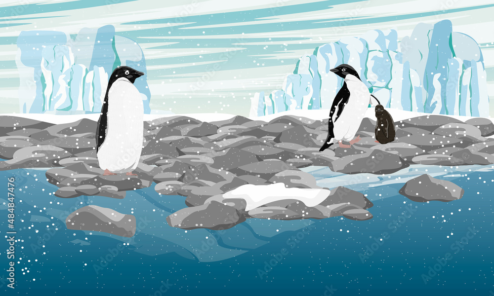 Φωτογραφία A pair of Adelie Penguin with a chick stands on an ocean pebbly shore with a glacier in the background