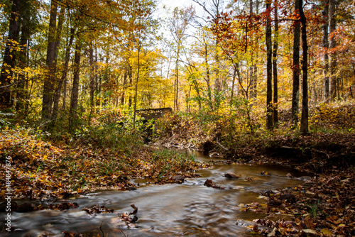 Slika na platnu Mountain stream in Autumn peak color