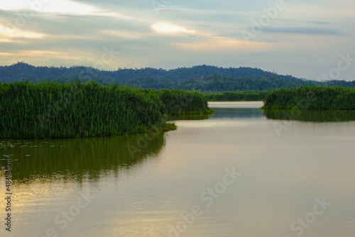 Chini Lake or Tasik Chini is the second largest fresh water lake in Pahang, Malaysia.