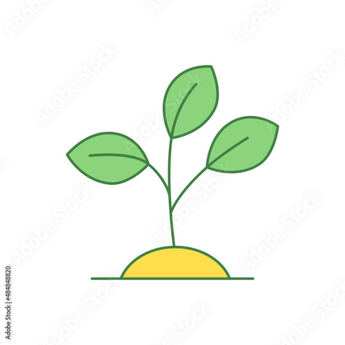 grow green leaves plant icon in color icon, isolated on white background  © fahmi
