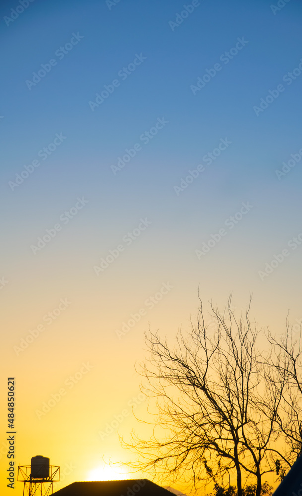 Abstract sunrise sky over dry trees, roof, and water tank, illustrated in two tones, vertical.