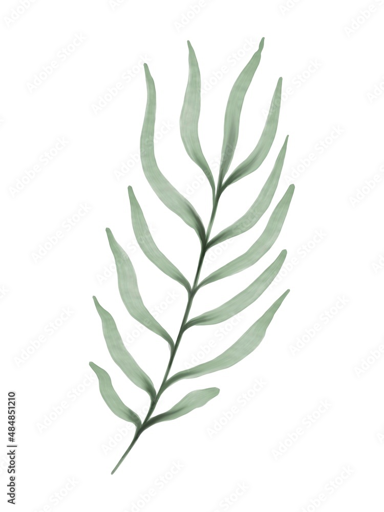 Green leaves design elements for wedding invitations and greeting cards. Watercolor style, isolated on white background Green leaves design elements for wedding invitations and greeting cards. Watercolor style, isolated on white background