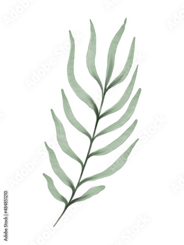 Green leaves design elements for wedding invitations and greeting cards. Watercolor style, isolated on white background