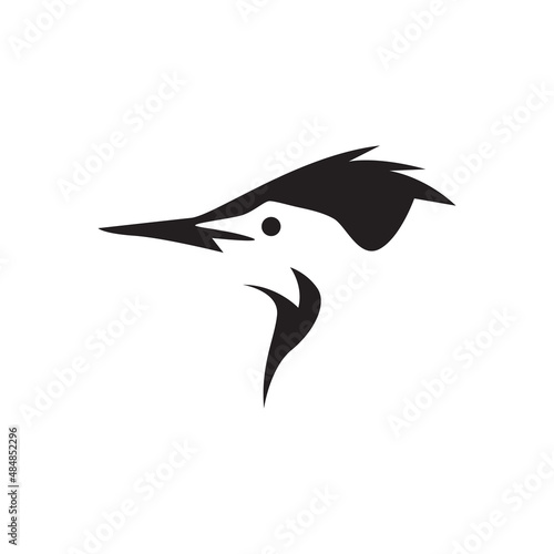 isolated face bird woodpecker logo design, vector graphic symbol icon illustration creative idea